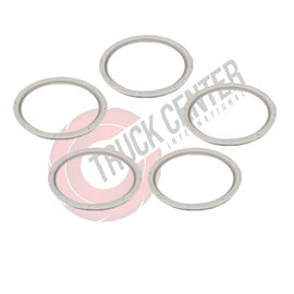 W3951 -  Caliper Cover Seal Set